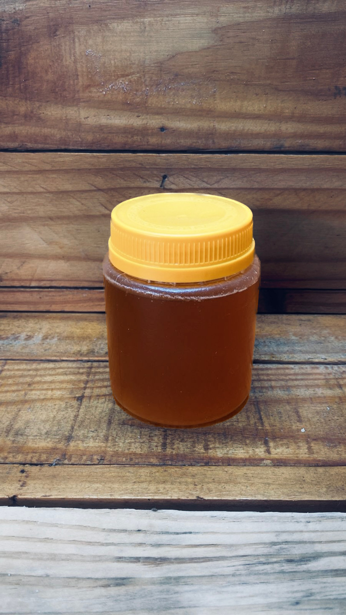 Mel de Eucalipto 1kg em Gravataí | Kuase Nada